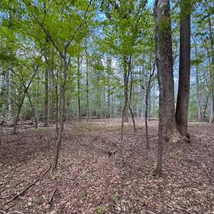 Photo #34 of 15157 Hilltop Lane, Smithfield, VA 20.2 acres