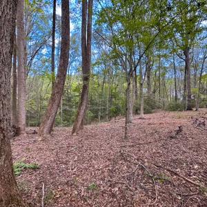 Photo #35 of 15157 Hilltop Lane, Smithfield, VA 20.2 acres