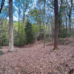 Photo #36 of 15157 Hilltop Lane, Smithfield, VA 20.2 acres