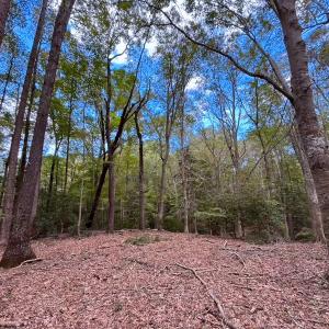 Photo #37 of 15157 Hilltop Lane, Smithfield, VA 20.2 acres