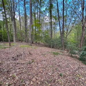 Photo #38 of 15157 Hilltop Lane, Smithfield, VA 20.2 acres
