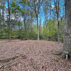 Photo #39 of 15157 Hilltop Lane, Smithfield, VA 20.2 acres