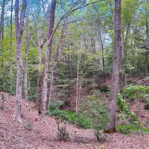 Photo #40 of 15157 Hilltop Lane, Smithfield, VA 20.2 acres