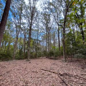 Photo #42 of 15157 Hilltop Lane, Smithfield, VA 20.2 acres