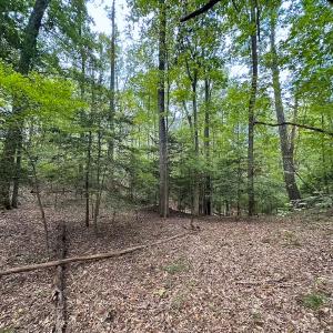 Photo #43 of 15157 Hilltop Lane, Smithfield, VA 20.2 acres
