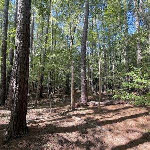 Photo #13 of 1012 S Halifax Rd, Rocky Mount, NC 20.0 acres