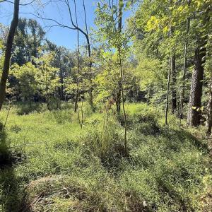 Photo #16 of 1012 S Halifax Rd, Rocky Mount, NC 20.0 acres