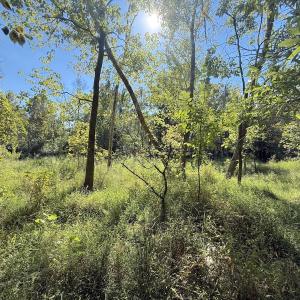 Photo #18 of 1012 S Halifax Rd, Rocky Mount, NC 20.0 acres