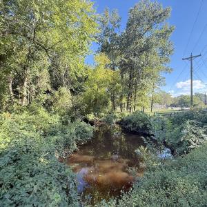 Photo #19 of 1012 S Halifax Rd, Rocky Mount, NC 20.0 acres