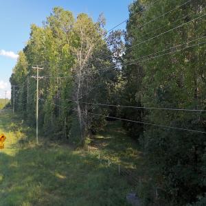 Photo #5 of 1012 S Halifax Rd, Rocky Mount, NC 20.0 acres