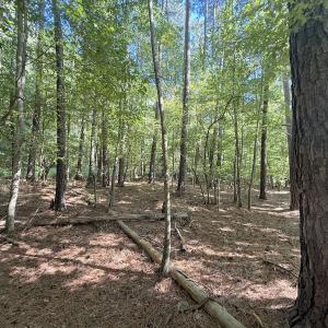 Photo #23 of 1012 S Halifax Rd, Rocky Mount, NC 20.0 acres