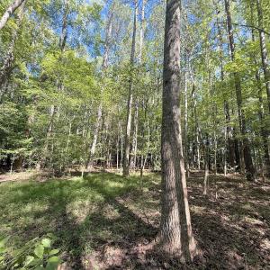 Photo #25 of 1012 S Halifax Rd, Rocky Mount, NC 20.0 acres