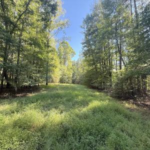 Photo #31 of 1012 S Halifax Rd, Rocky Mount, NC 20.0 acres