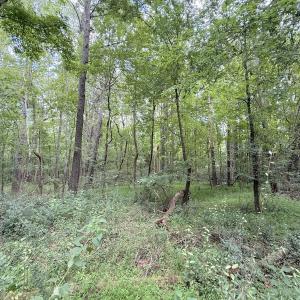 Photo #12 of Off of Laurel Ridge Road, Durham, NC 0.9 acres