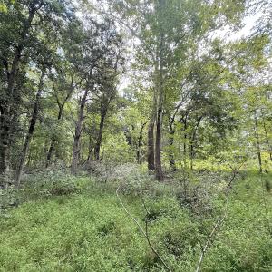 Photo #15 of Off of Laurel Ridge Road, Durham, NC 0.9 acres