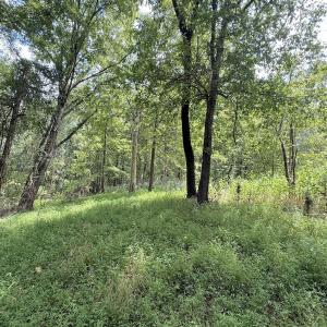 Photo #16 of Off of Laurel Ridge Road, Durham, NC 0.9 acres