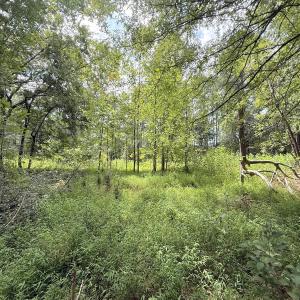 Photo #17 of Off of Laurel Ridge Road, Durham, NC 0.9 acres