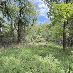 Photo #20 of Off of Laurel Ridge Road, Durham, NC 0.9 acres
