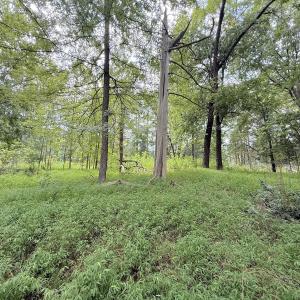 Photo #21 of Off of Laurel Ridge Road, Durham, NC 0.9 acres