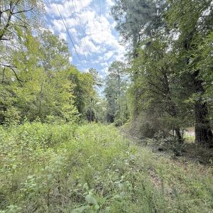 Photo #24 of Off of Laurel Ridge Road, Durham, NC 0.9 acres