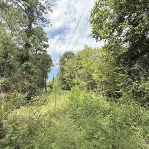 Photo #25 of Off of Laurel Ridge Road, Durham, NC 0.9 acres