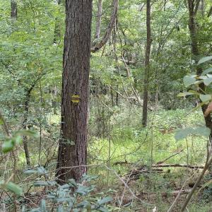 Photo #26 of Off of Laurel Ridge Road, Durham, NC 0.9 acres