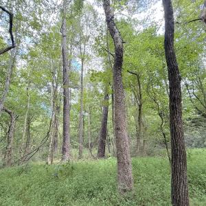 Photo #8 of Off of Laurel Ridge Road, Durham, NC 0.9 acres