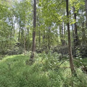 Photo #9 of Off of Laurel Ridge Road, Durham, NC 0.9 acres
