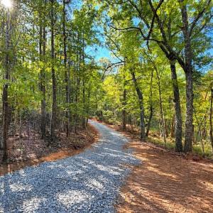 Photo #34 of Off of Timberland Trail, Huddleston, VA 64.3 acres