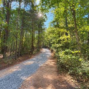 Photo #35 of Off of Timberland Trail, Huddleston, VA 64.3 acres