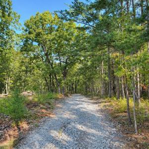 Photo #36 of Off of Timberland Trail, Huddleston, VA 64.3 acres