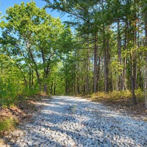 Photo #37 of Off of Timberland Trail, Huddleston, VA 64.3 acres