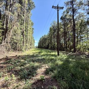 Photo #13 of 445 Morris BBQ Road, Hookerton, NC 16.5 acres