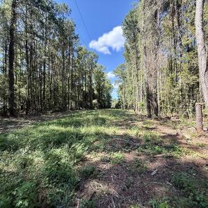 Photo #14 of 445 Morris BBQ Road, Hookerton, NC 16.5 acres