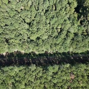 Photo #16 of 445 Morris BBQ Road, Hookerton, NC 16.5 acres