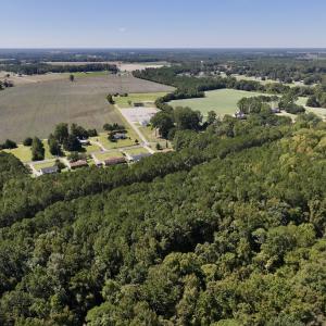 Photo #3 of 445 Morris BBQ Road, Hookerton, NC 16.5 acres