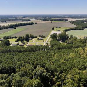 Photo #4 of 445 Morris BBQ Road, Hookerton, NC 16.5 acres