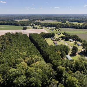 Photo #6 of 445 Morris BBQ Road, Hookerton, NC 16.5 acres