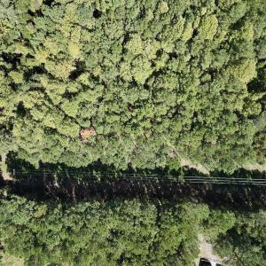 Photo #7 of 445 Morris BBQ Road, Hookerton, NC 16.5 acres