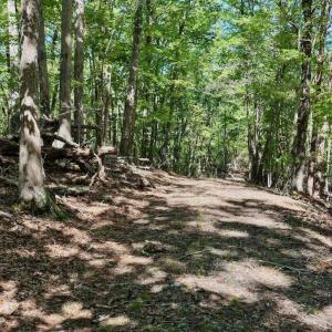 Photo #13 of Off of Brights Road, Pittsville, VA 30.4 acres