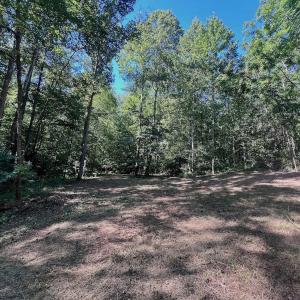 Photo #14 of Off of Brights Road, Pittsville, VA 30.4 acres