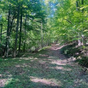 Photo #2 of Off of Brights Road, Pittsville, VA 30.4 acres