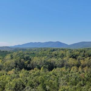 Photo #6 of Off of Brights Road, Pittsville, VA 30.4 acres