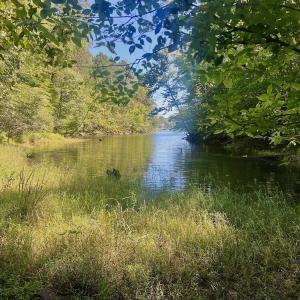Photo #8 of Off of Brights Road, Pittsville, VA 30.4 acres