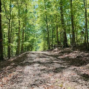 Photo #9 of Off of Brights Road, Pittsville, VA 30.4 acres