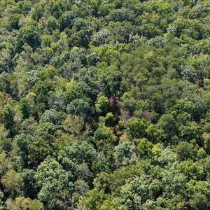 Photo #36 of Off of Brights Road, Pittsville, VA 30.4 acres