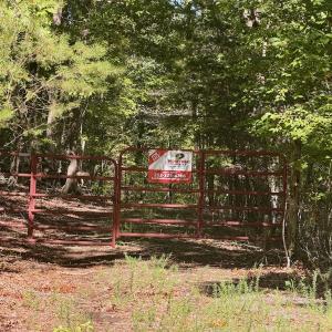 Photo #15 of Off of Brights Road, Pittsville, VA 30.4 acres