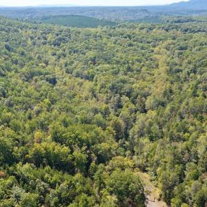Photo #22 of Off of Brights Road, Pittsville, VA 30.4 acres