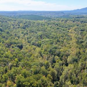 Photo #25 of Off of Brights Road, Pittsville, VA 30.4 acres