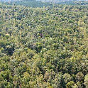 Photo #31 of Off of Brights Road, Pittsville, VA 30.4 acres